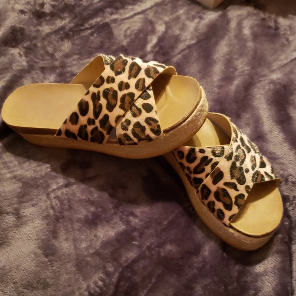 Cheetah  Slides